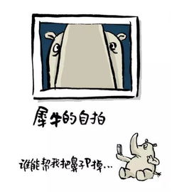  如果动物们有了自拍杆