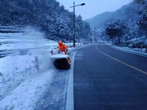  人民日报都打call为什么杭州的雪景这么美这就是答案