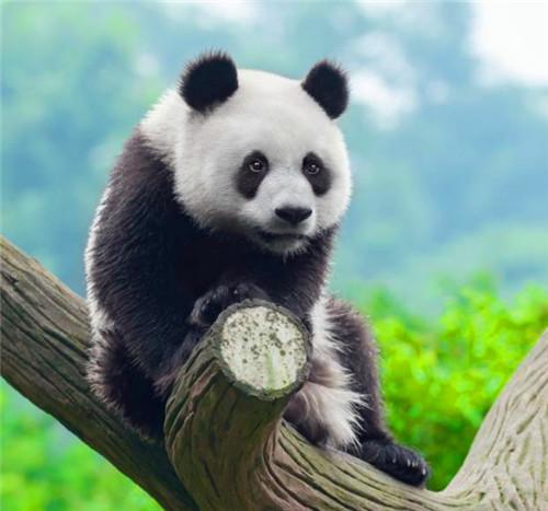  新中国第一个对外不平等条约,世界各国明知吃亏,为何也要抢着签