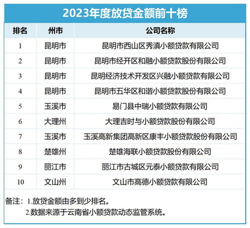  云南省小额贷款公司2023年度业务指标排名光荣榜发布