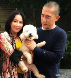  娱乐圈把老婆宠成小公主的明星