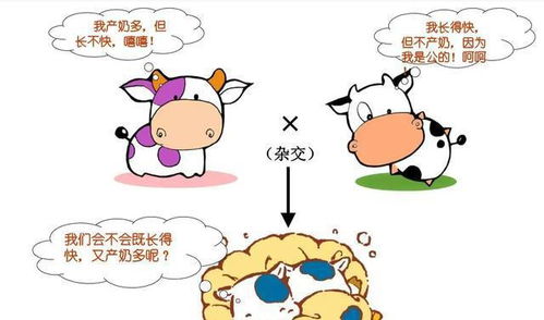 野生动物也会杂交,它们繁殖的后代会怎样动物杂交该被禁止吗