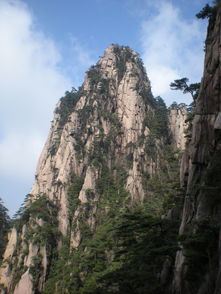  醉美黄山,梦里宏村适合中老年朋友攻略