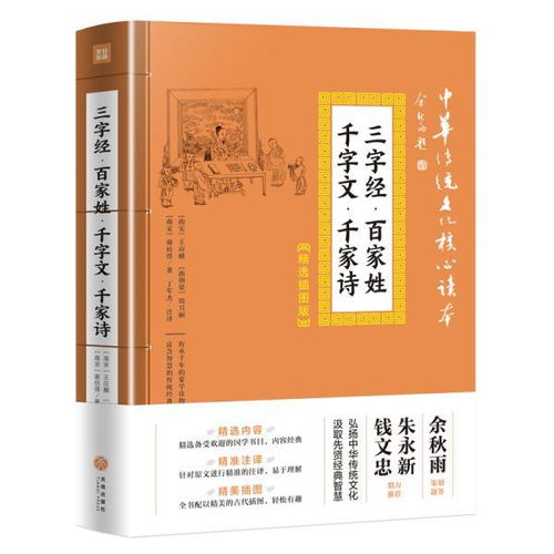  孔网分类