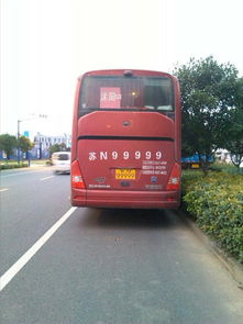  西太湖附近捕获五九至尊车辆一台,还是辆大客车,还是沭阳的