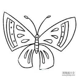  关于蝴蝶的可爱简笔画