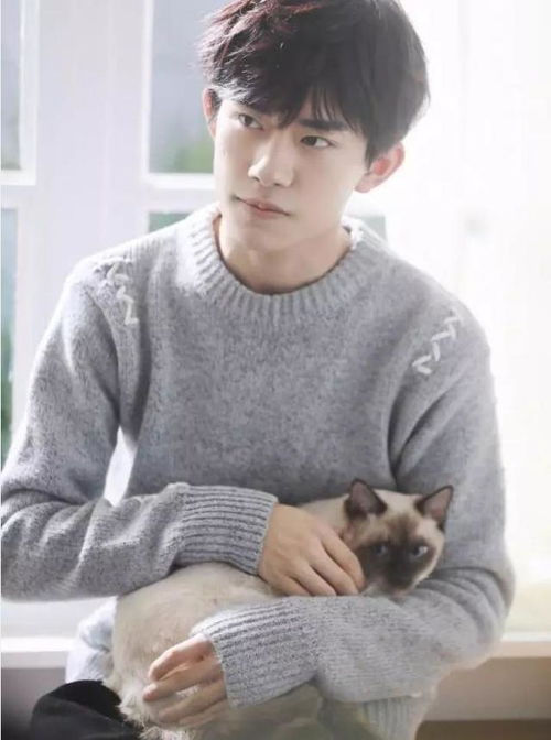  tfboys养萌宠王源的狗成肉球,千玺的猫变黑,王俊凯最特殊