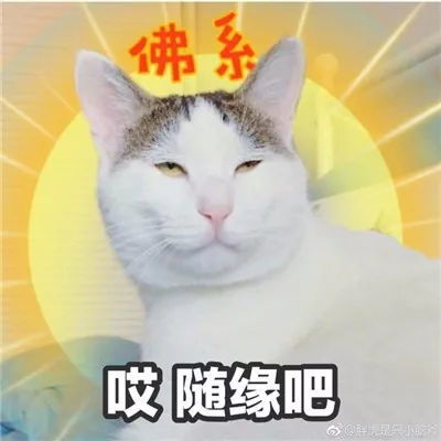  干货我是怎么裸考过四六级的这几个简单粗暴的方法教你学英语