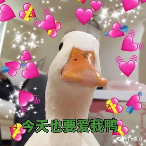  和这几大星座相处超舒服