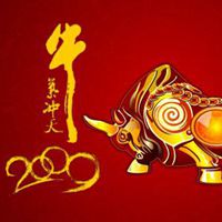  200200牛气冲天头像微信头像图片大全