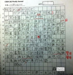  美国学生汉语情书语言直白超搞笑