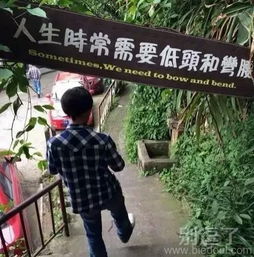  最新幽默笑话大全,搞笑段子大全,搞笑动态图片大全第1165页别逗了笑话网