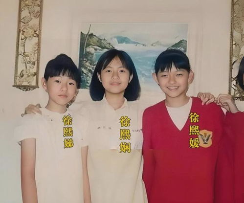  徐家三姐妹童年照曝光,大姐比大小s都漂亮当年请她演电影被拒