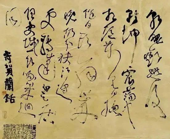  胡抗美称自己堪比古代,网友大呼差距太大