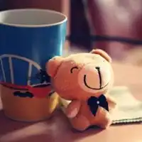  qq头像静物唯美图片