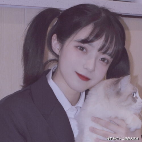  恋爱中,容易三分钟热度的星座