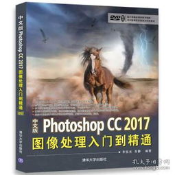  孔网分类
