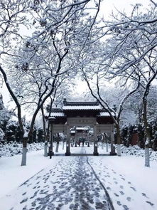 美呆了哪些地方人少雪景美小编都理好了