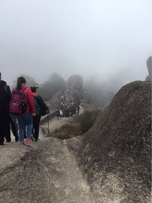  黄山风景区门票成人票911月旺季票黄山就一个字,美,难怪都说黄山归来驴妈妈点评