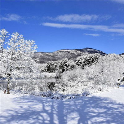  冬天唯美的雪景头像,下雪的冬天是极其美丽的