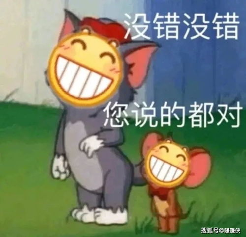  热门表情包图片没错,你说的都对