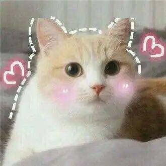  youarecute可不是夸你很可爱,说错很尴尬,千万别乱说