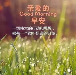  微信早安心语感悟人生的心灵禅语