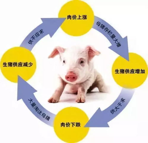  猪肉价格怎么走官方回应
