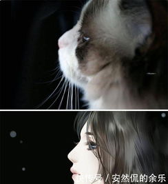  画笔魔术,将猫猫狗狗变成卡通人物,中国艺术家不想火都难