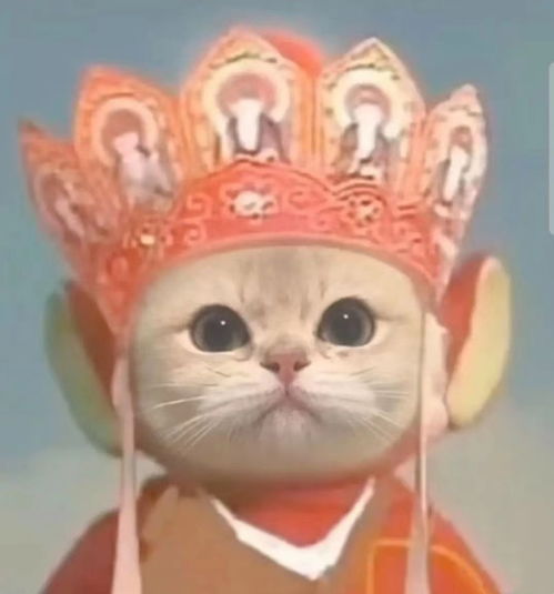  超搞笑的情头
