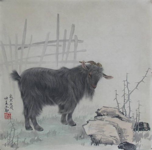  周易命理师傅2018年12生肖运势提前看,哪些生肖运势最好