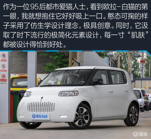  这只小猫值得一吸95后女生解析欧拉白猫