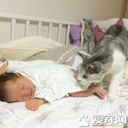  15岁猫哥哥自从妹妹出生变身超温柔称职保姆