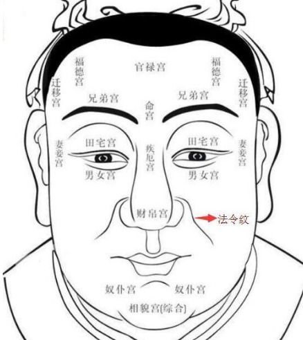  面相图解,法令纹中的秘密搜狐星座搜狐网