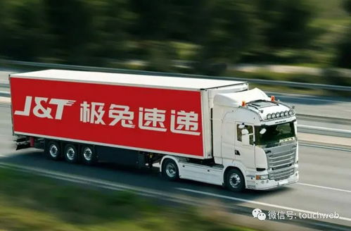 萌兔头像qq快递