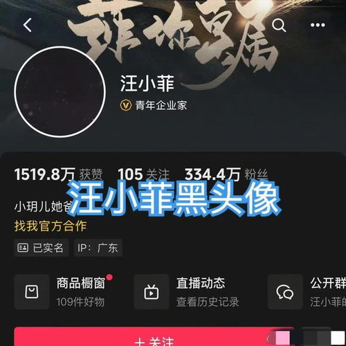  台媒曝大s疑似过世在日本感染流感,家人不回应汪小菲头像变黑