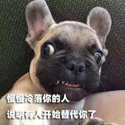  笑点打包好养眼的美女施工队