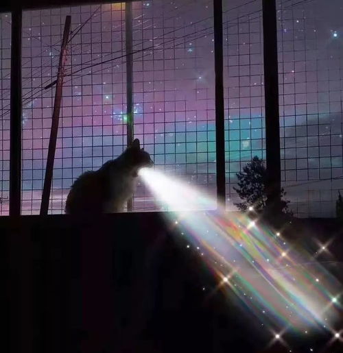  抖音最火一束光朋友圈背景图,超火的哦