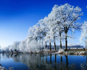  这个冬天,要么去看绝美雪景,要么去海滩冲浪