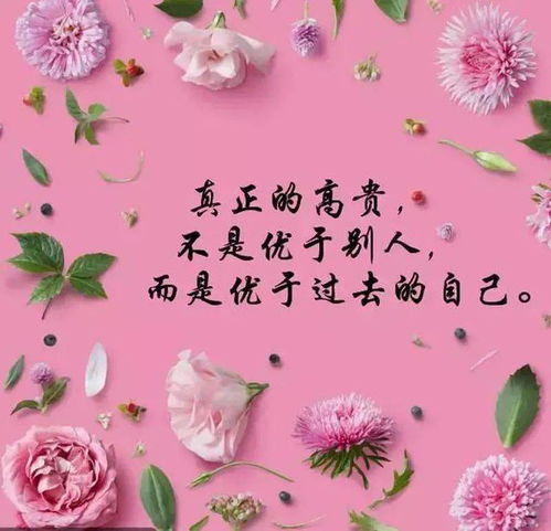  不用打字就可以聊天的图片