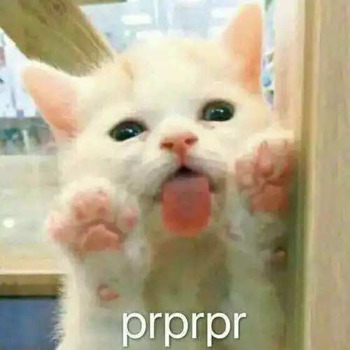  游戏王1007灵使加强