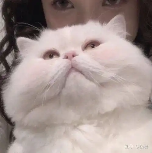  特别可爱又很特别的情侣头像甜甜的恋爱