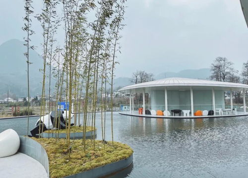  就地过年来一场亲子周边游,耍鱼凫湿地住泡泡屋,温暖过春节