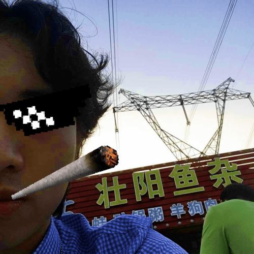  东莞的壮阳鱼杂店里,装着广东男人向阳而生的生活方式