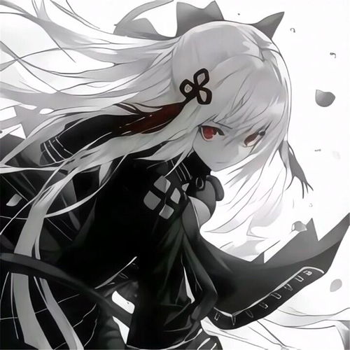  无标题