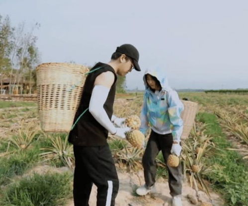  张子枫摔跤,菠萝撒地上,彭昱畅赶去帮忙,谁注意宋威龙做了啥