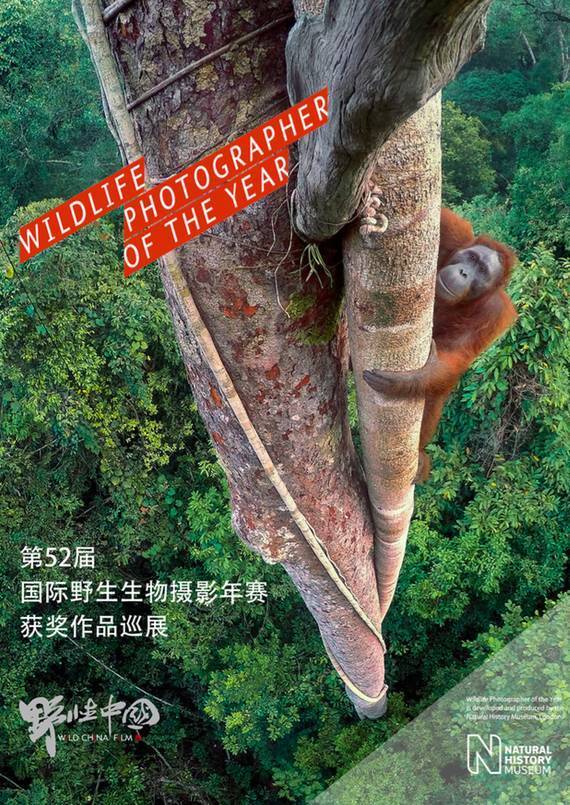  野生动物摄影奥斯卡大奖作品展,我们等你