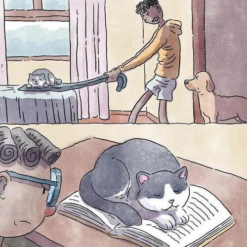  猫狗宠物漫画后续来了,像是看了一部电影,让人心里暖暖的