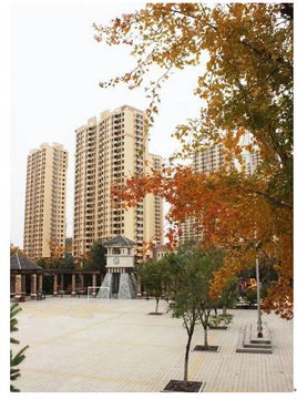  婚房不贵一步到位首付3万多住三房