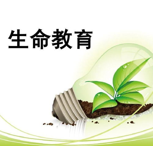  生命教育